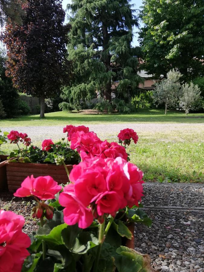 Il Nido Della Dani Bed and Breakfast Busto Arsizio Eksteriør billede
