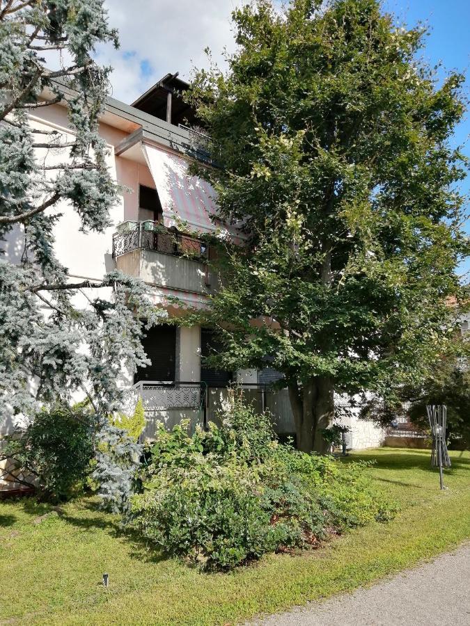 Il Nido Della Dani Bed and Breakfast Busto Arsizio Eksteriør billede